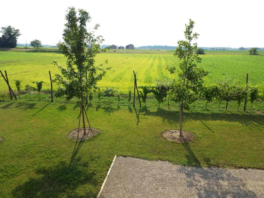 Ogród w obiekcie B&B Il Portico