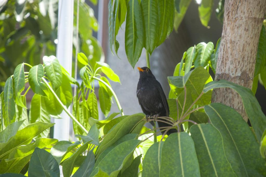 Apartamentos El Paseo - 11