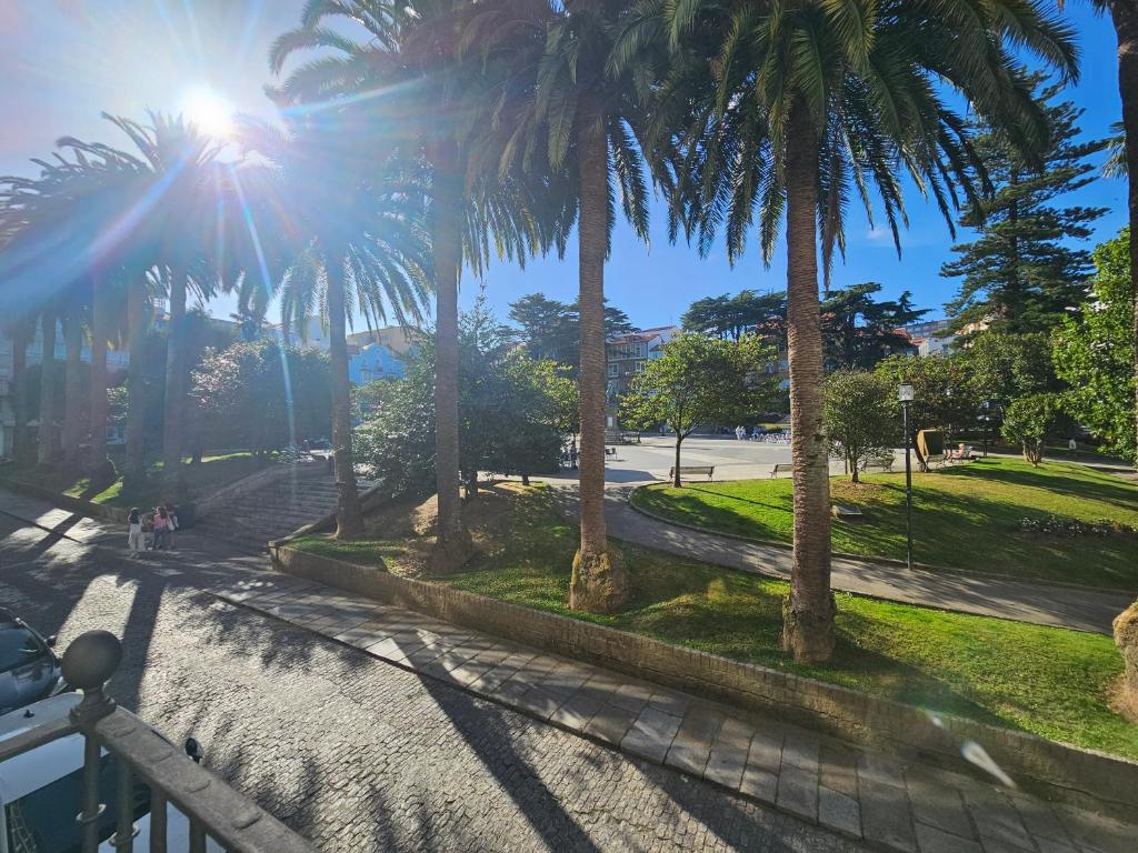 un grupo de palmeras en una calle en Piso en el centro para 5 Personas - Plaza de Amboage - WIFI, en Ferrol
