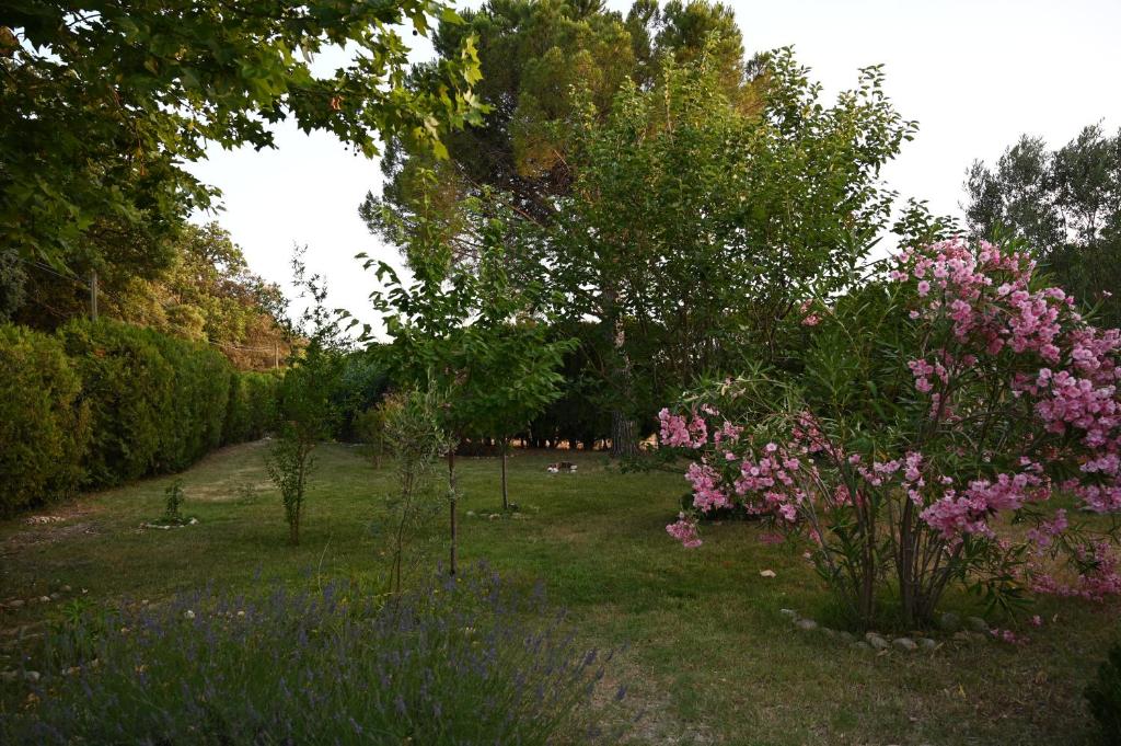 SAKURA, Paisible et confortable appartement à la campagne - One-Bedroom Apartment