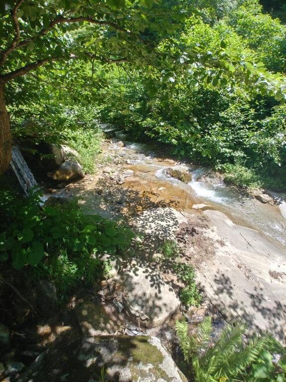 hanefi şahin günlük kiralık ev - Chalet Met Twee Slaapkamers
