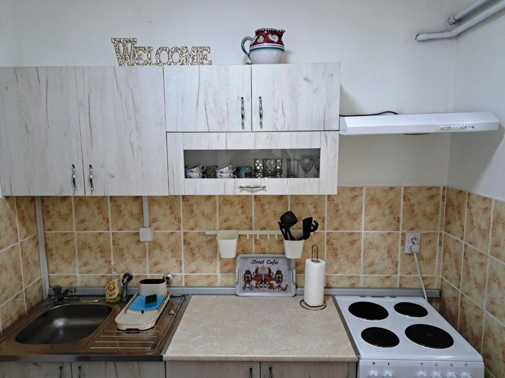 een kleine keuken met witte kasten en een wastafel bij Anja Apartman in Novi Sad