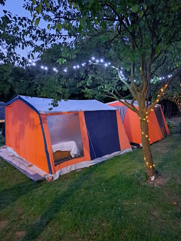 維索科的住宿－MFN - Šator 1，一群帐篷坐在树旁的草丛中