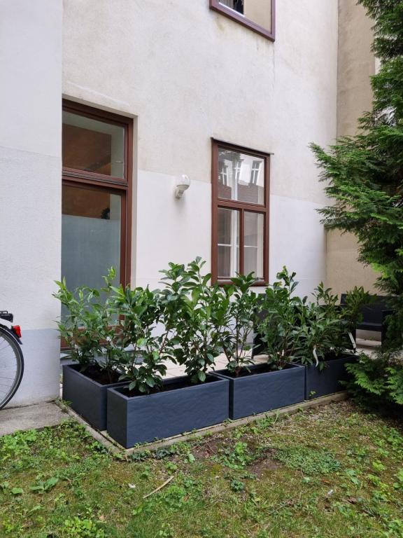 un gruppo di piante di fronte a un edificio di AlPa 2 Zimmer Wohnung in Wien Rochusmarkt a Vienna