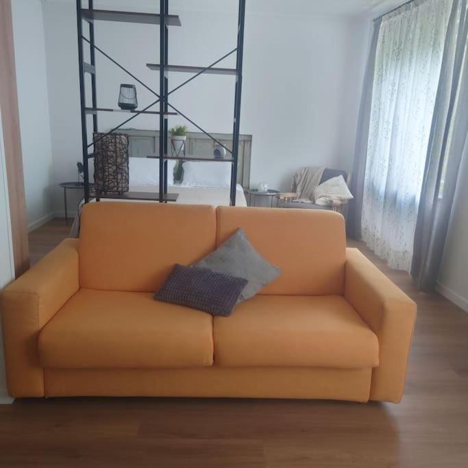 ヴァッリ・デル・パズービオにあるappartamento 'il Biancospino'のリビングルーム(オレンジカウチ、枕2つ付)