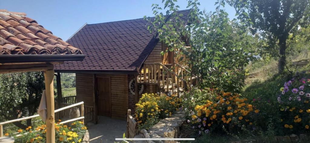 Guesthouse Pogradec - Imazhi 8