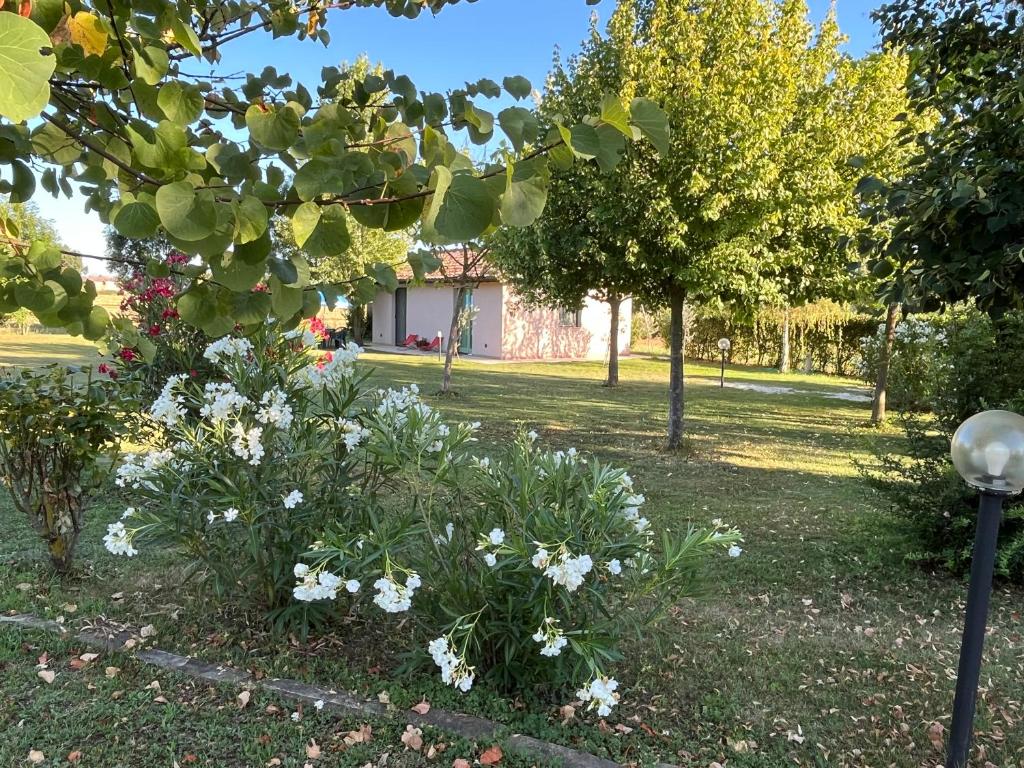 un jardín con flores blancas en la hierba en Casa Dora, en Gubbio