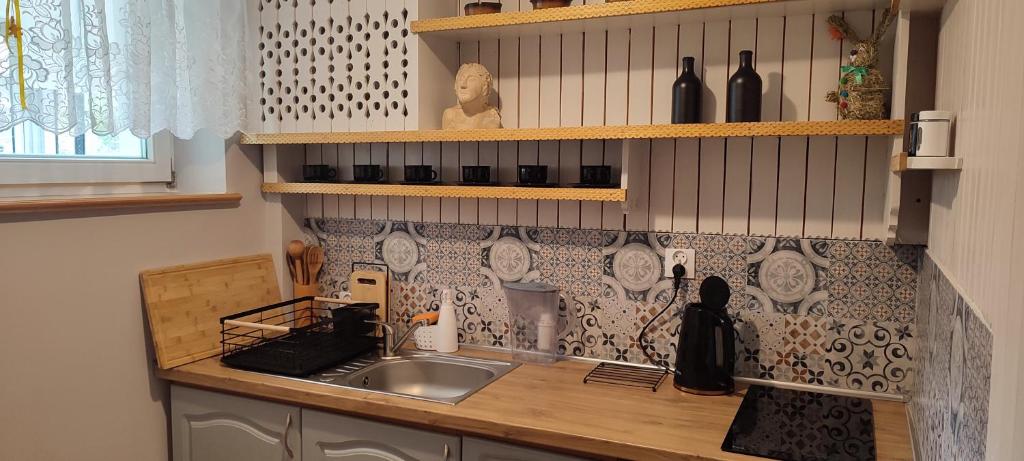 Kuchyňa alebo kuchynka v ubytovaní Retrospekcja - Apartament w centrum