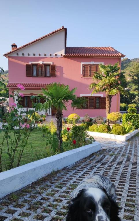 Zahrada ubytování Guesthouse Ndroq