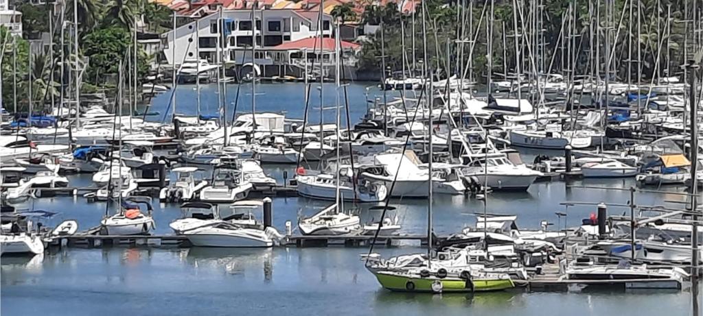 ル・ゴジエにあるMarina Gardensの船の束がマリーナに停泊