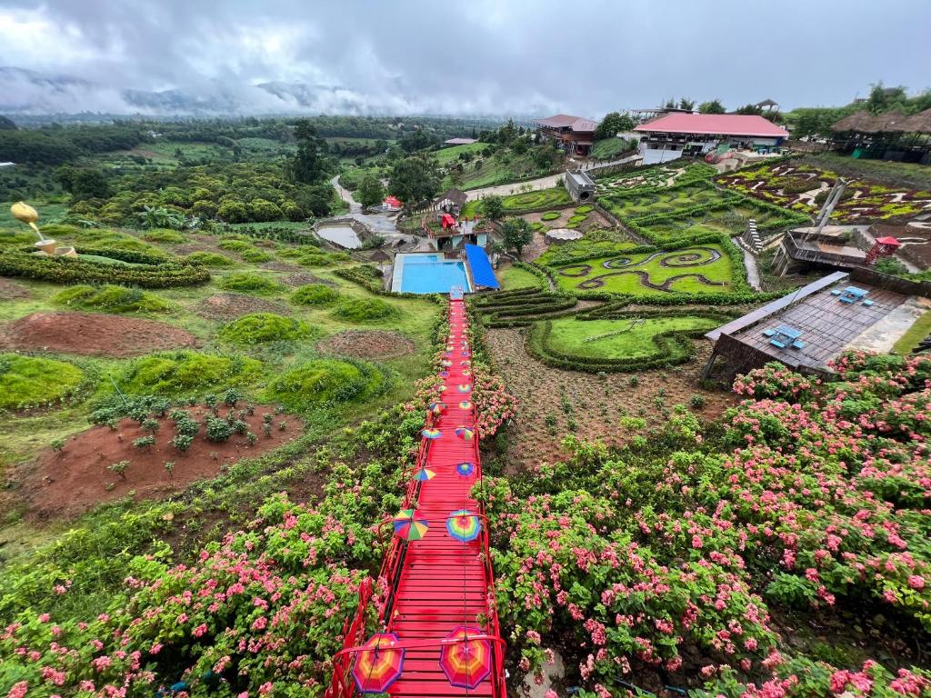 una vista aérea de un jardín con sombrillas en ไร่ชาชิวอวี๋, en Pai