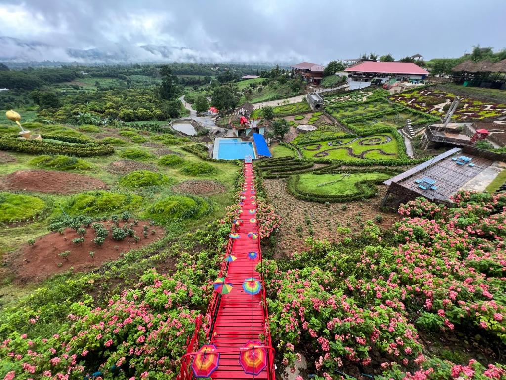 an aerial view of a garden with umbrellas at ไร่ชาชิวอวี๋ in Pai