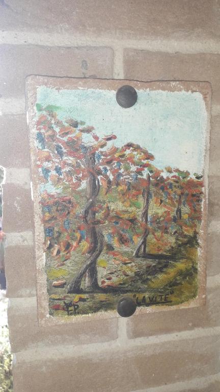 Sulla Strada di San Francesco - 16