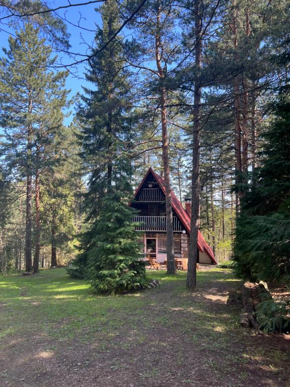 een blokhut in het bos met bomen bij Tarushka house 