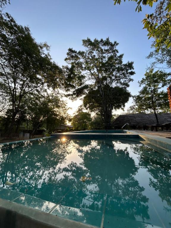 Bazén v ubytování Gabaa Resort & Spa - Habarana nebo v jeho okolí