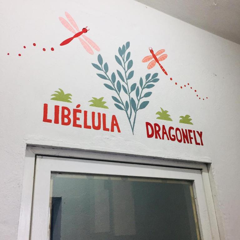 Fotografie z fotogalerie ubytování Vive Alegria Hostel v destinaci Puerto Vallarta
