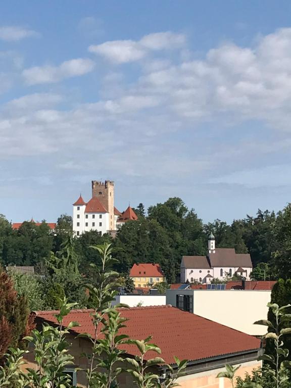 um grupo de edifícios e árvores com um castelo ao fundo em House with castle view & art em Günzburg