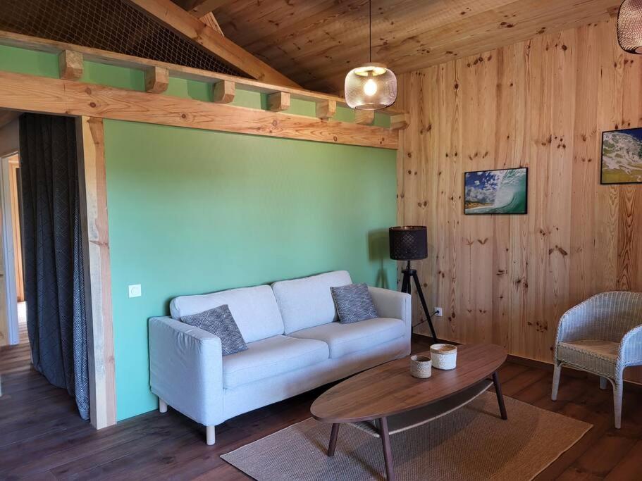 TV a/nebo společenská místnost v ubytování La cabane d' Esting