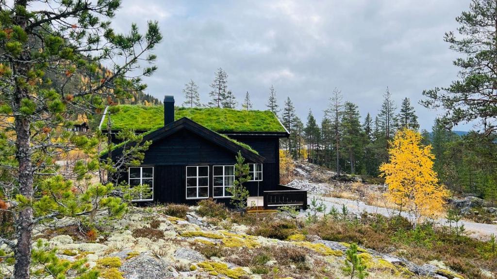 a small house with a grass roof on a hill at Storekleiv Hyttefelt Tuddal in Tuddal