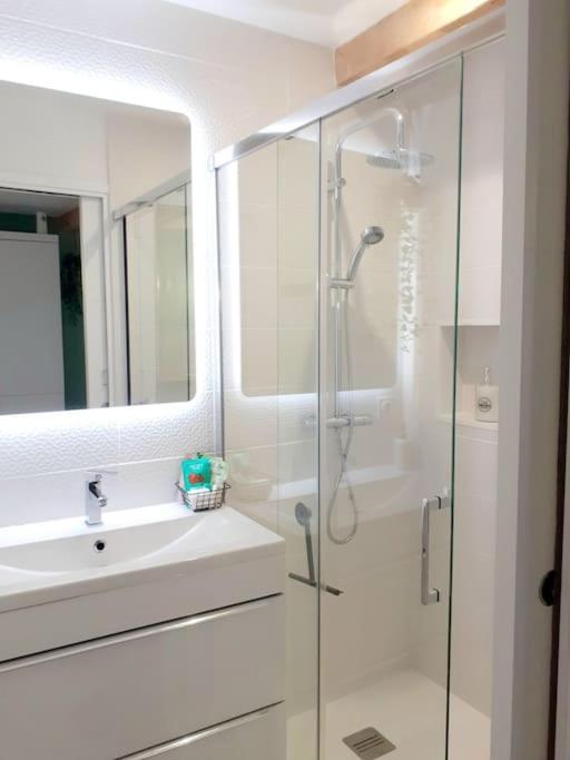 a bathroom with a glass shower and a sink at Charmant duplex avec jacuzzi in Aumelas
