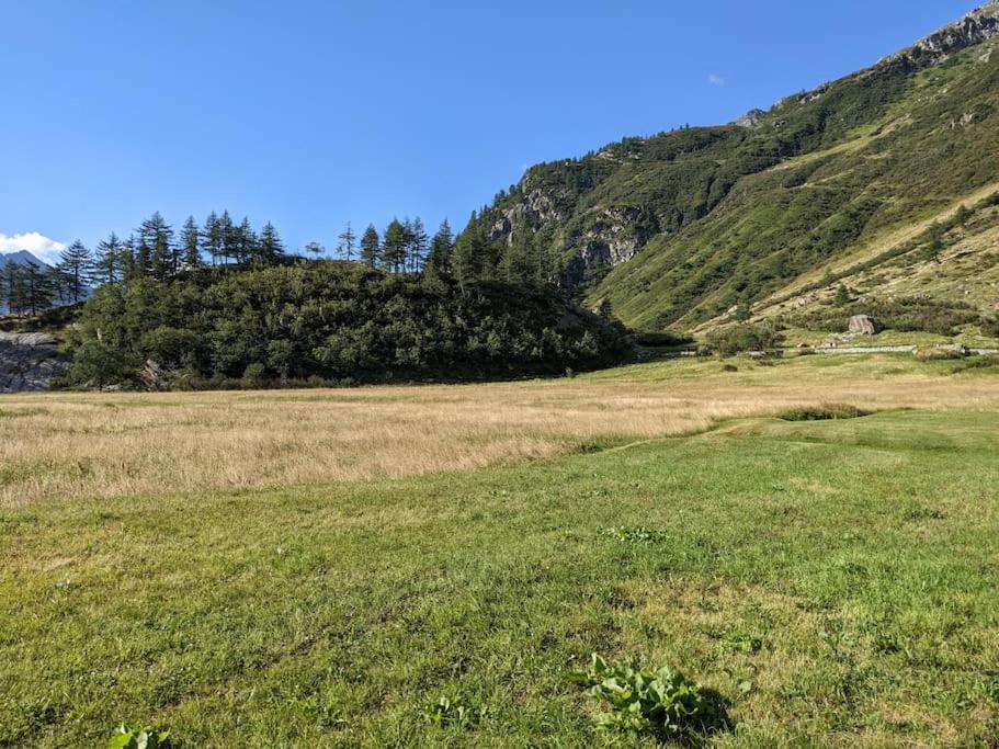 Příroda nedaleko apartmánu