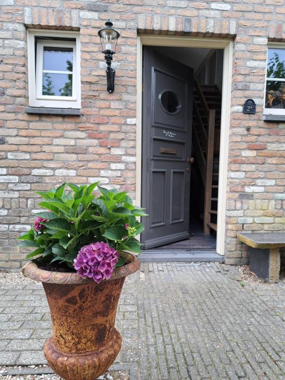 una planta en una olla delante de una puerta en B&B Waardevol, Julianastraat 2L, en Waarde