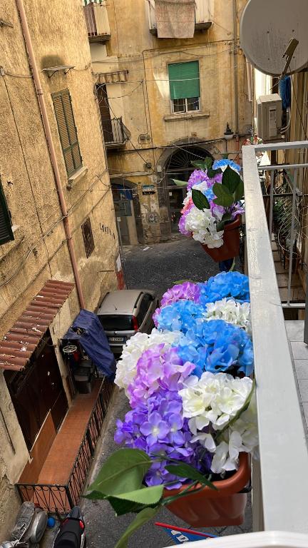Balkón nebo terasa v ubytování casa esmeralda