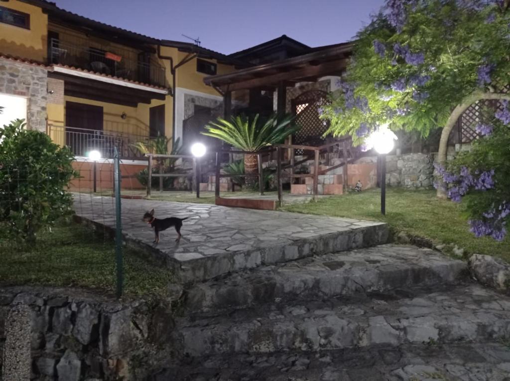 un perro parado en un camino de piedra por la noche en Residence Tre Mulini, en Scario