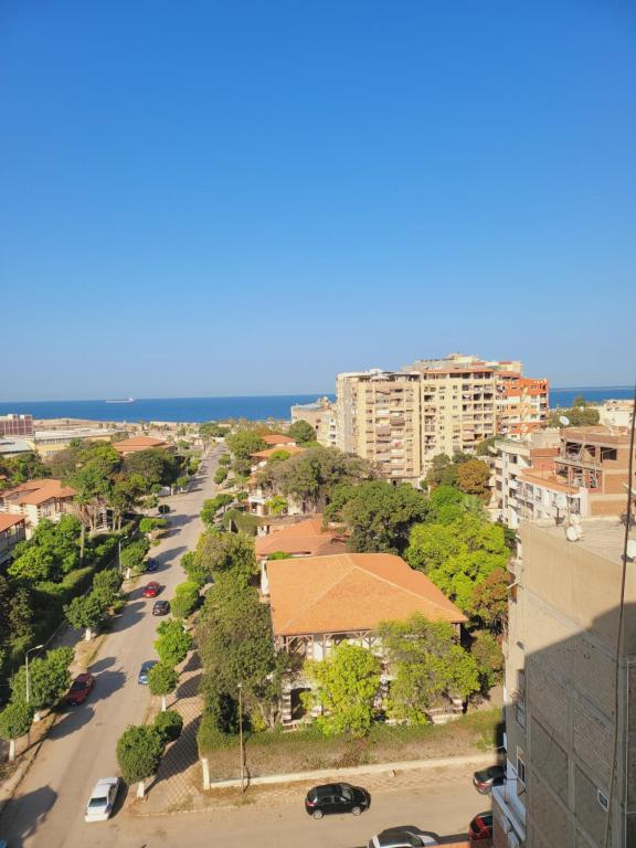 الفيصل, Port Said (updated prices 2024)