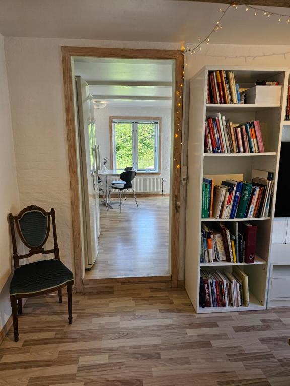 Knihovna v apartmánu