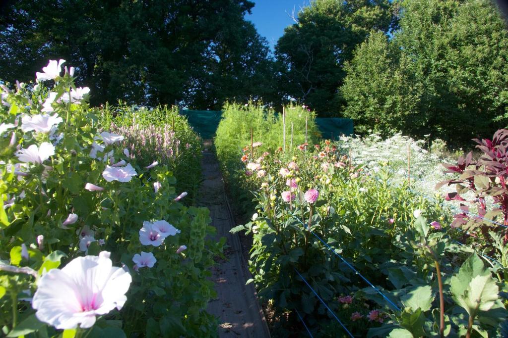 Zahrada ubytování Gite Fleurs d'Esse
