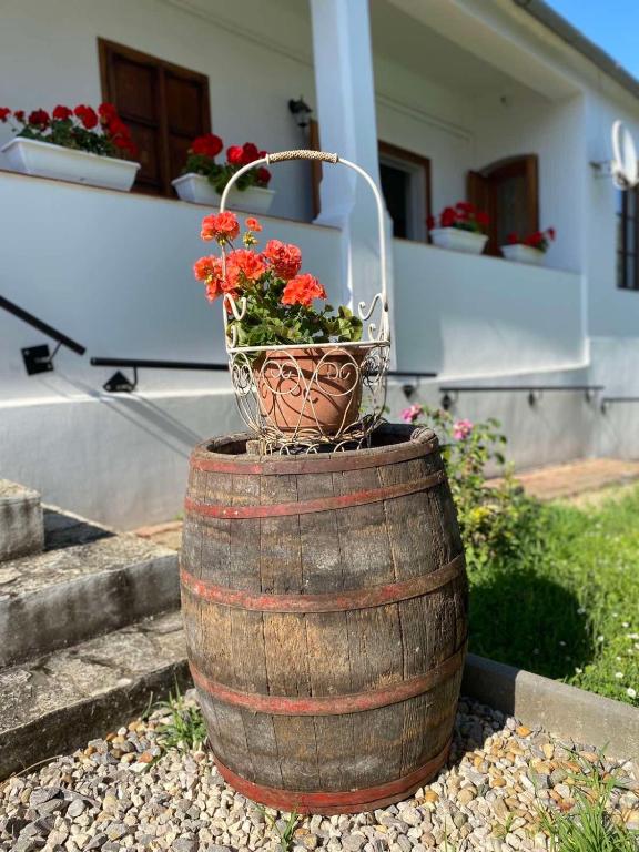Budova, kde se vila nachází