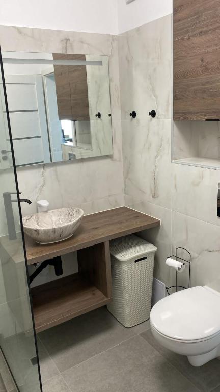 ein Badezimmer mit einem Waschbecken, einem WC und einem Spiegel in der Unterkunft Columna residence in Floreşti
