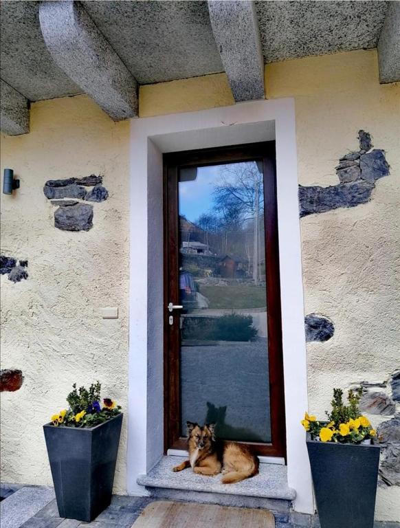 Fotografie z fotogalerie ubytování B&B FANCHETTI 1938 v destinaci Sondrio