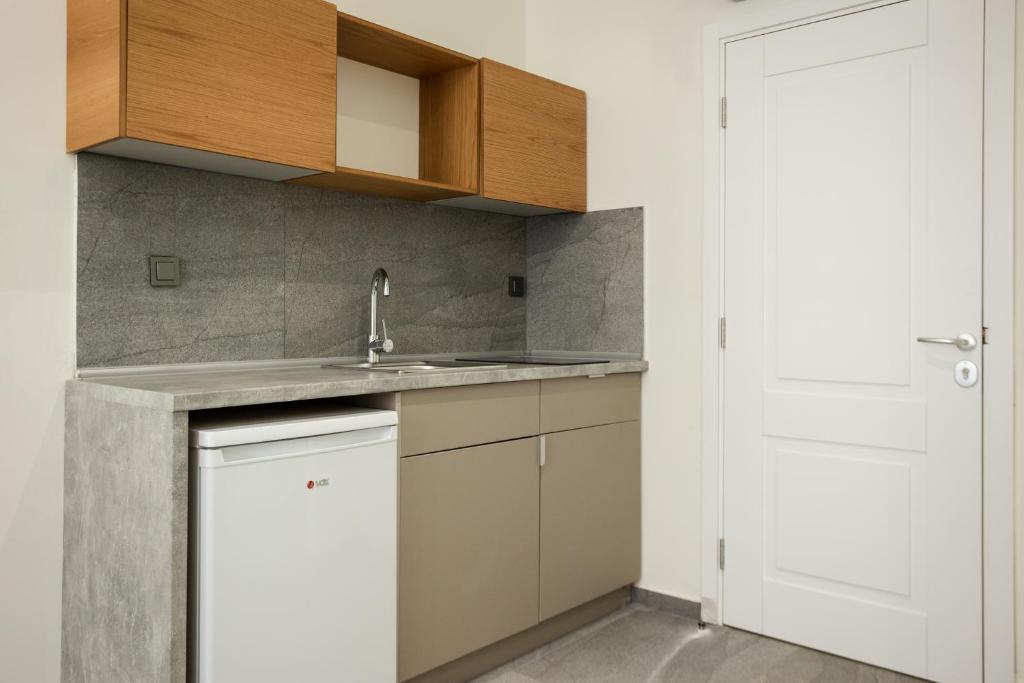 Kuchyň nebo kuchyňský kout v ubytování Aristotelous Downtown Suites