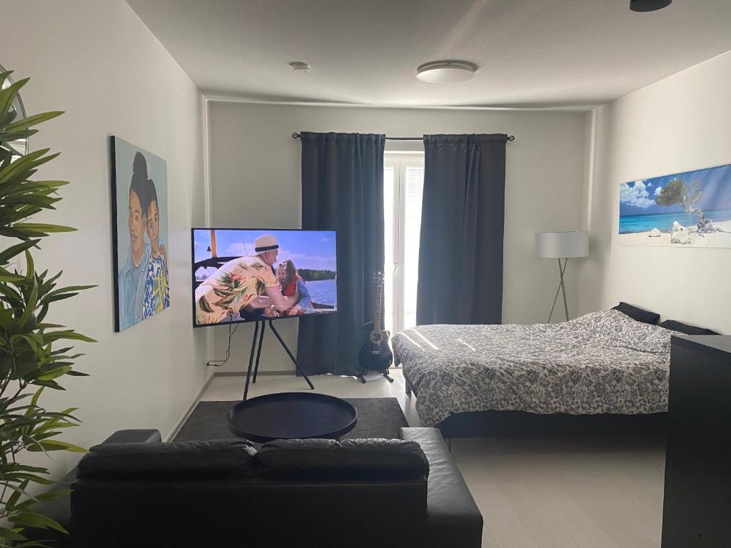 Televízia a/alebo spoločenská miestnosť v ubytovaní Apartment Vito