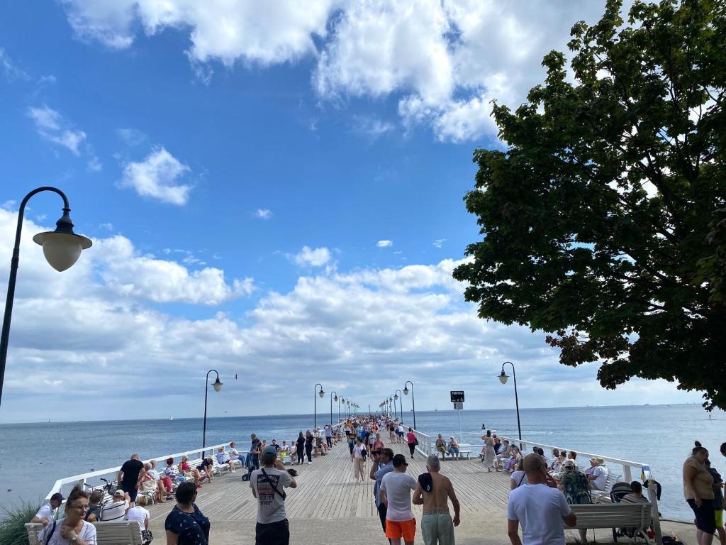 Guest Apartments Orłowo - 18