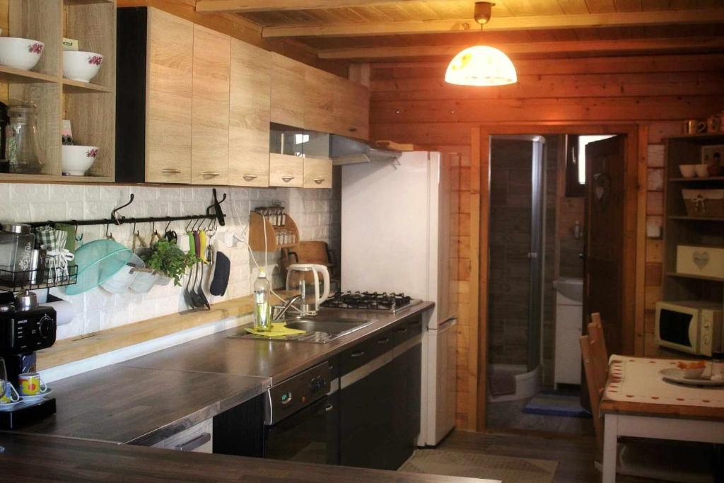 Kuchyňa alebo kuchynka v ubytovaní Drevenica pri jazere - relax vo vírivke