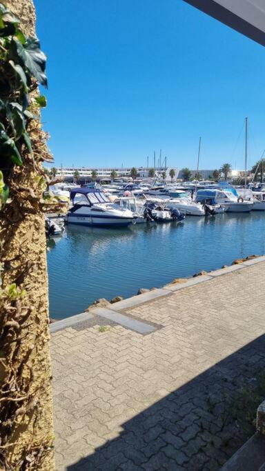 une vue d'une marina avec des bateaux dans l'eau dans l'établissement Au village naturiste, Villa vue Marina, au Cap d'Agde