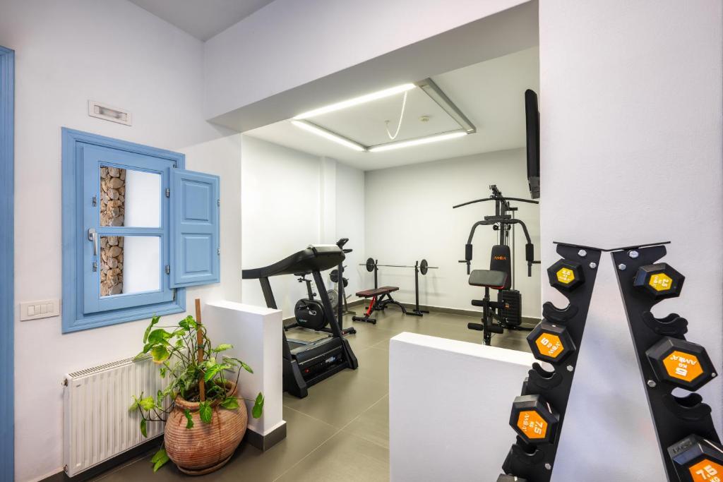 Fitness centrum a/nebo fitness zařízení v ubytování Anema Boutique Hotel & Villas Santorini