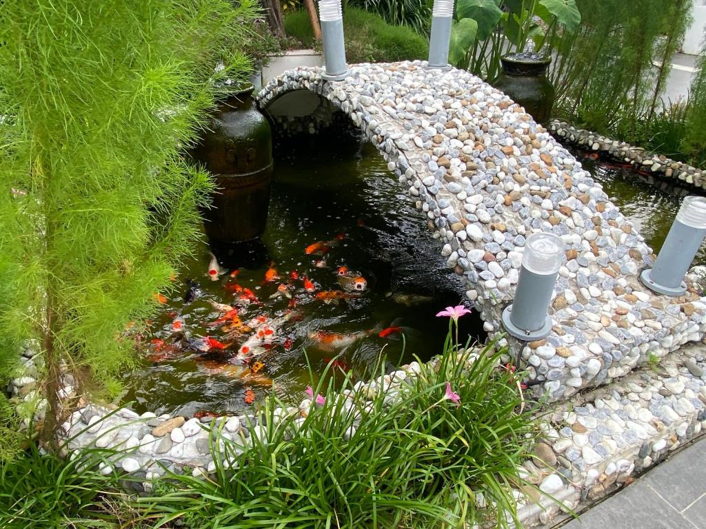 Zahrada ubytování Ngoc Trai Xanh Bungalow