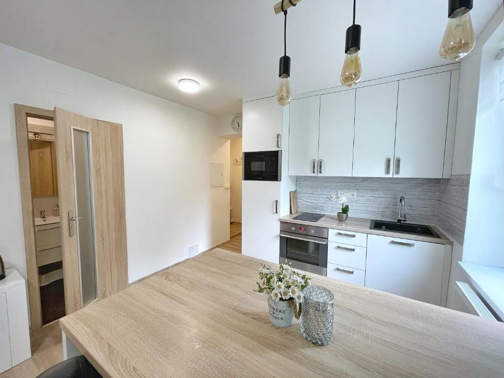 Kuchyň nebo kuchyňský kout v ubytování Apartmán U Náměstí