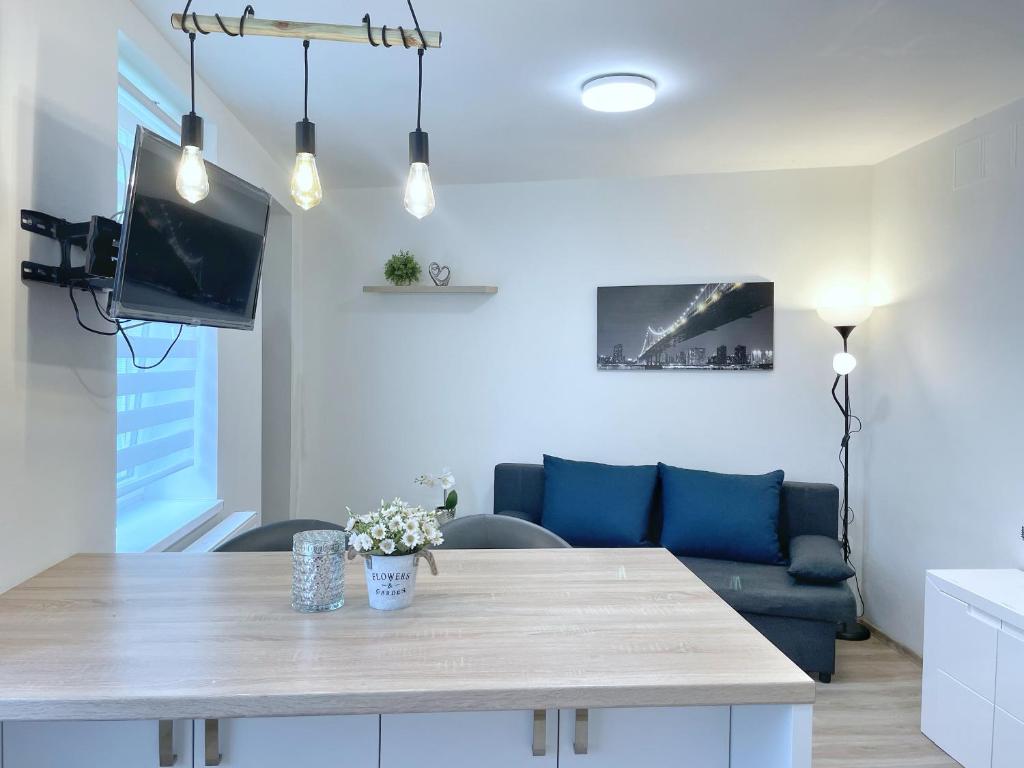 TV a/nebo společenská místnost v ubytování Apartmán U Náměstí