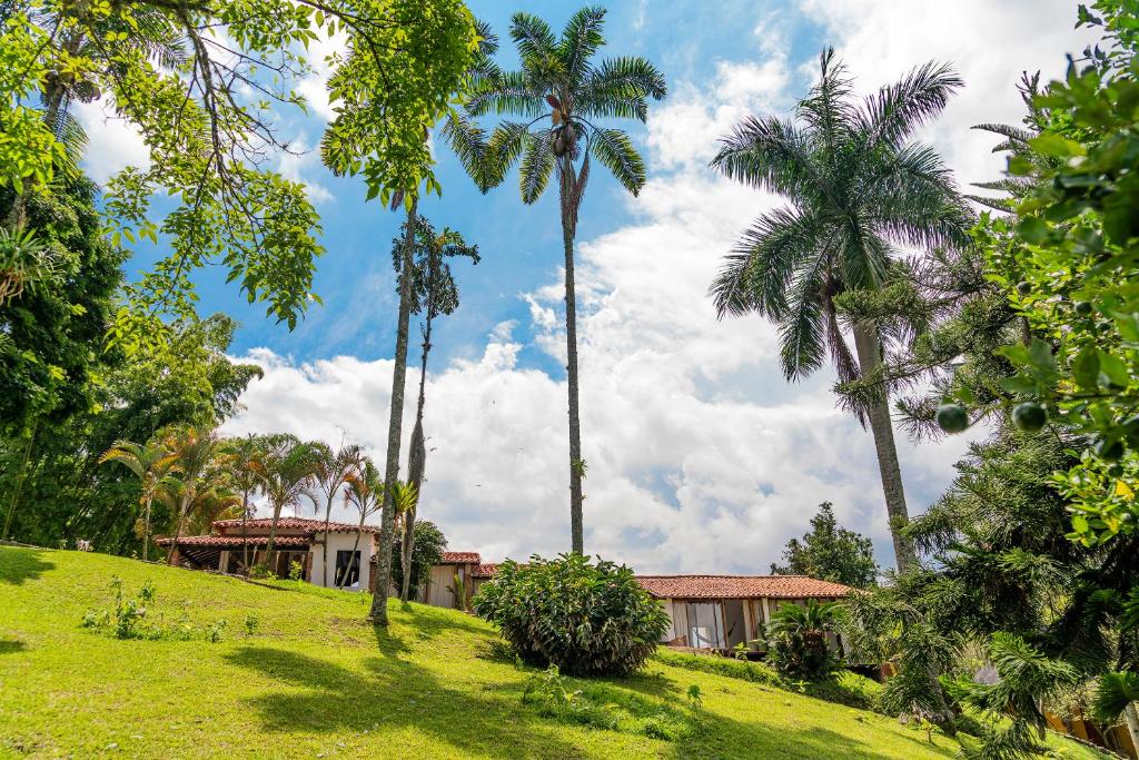 una casa en una colina con palmeras en Aldea Sabatinga, en Manizales