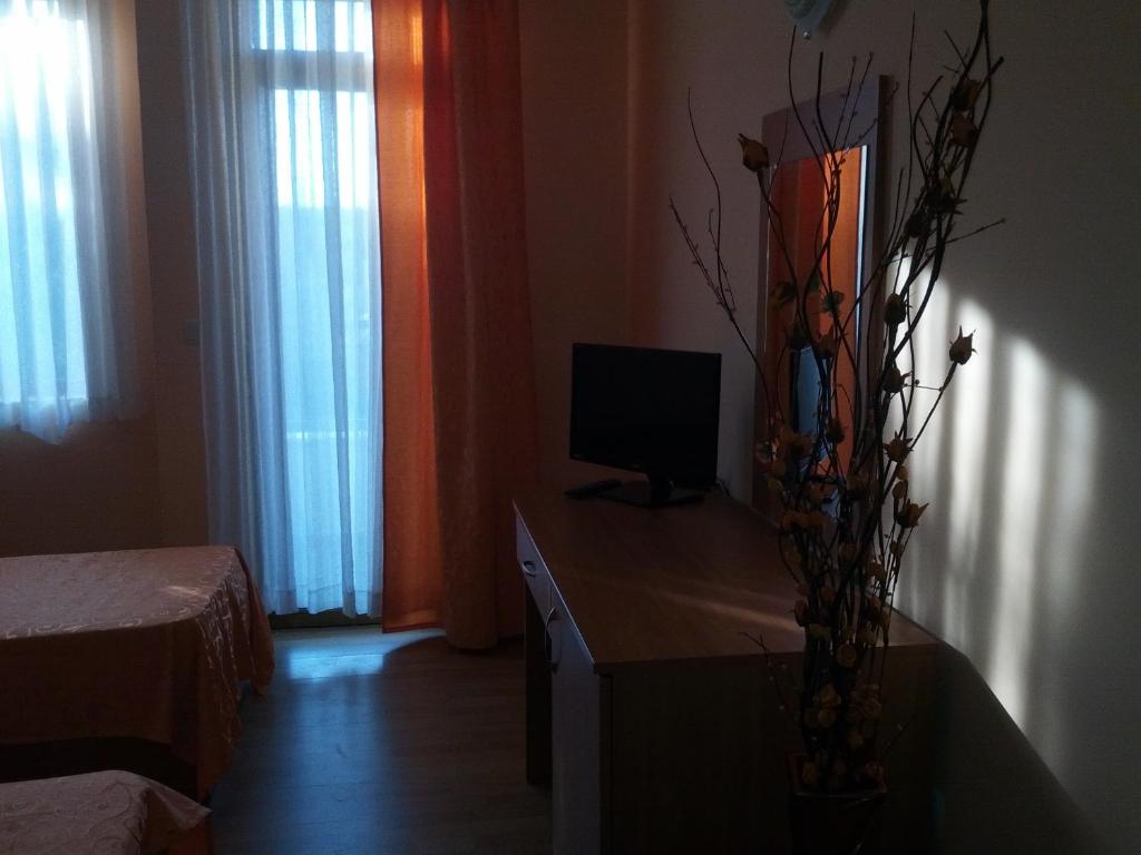 TV a/nebo společenská místnost v ubytování Guest rooms Sveti Nikola