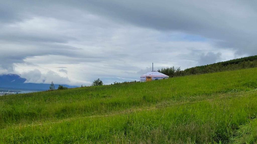 Příroda nedaleko luxury tent
