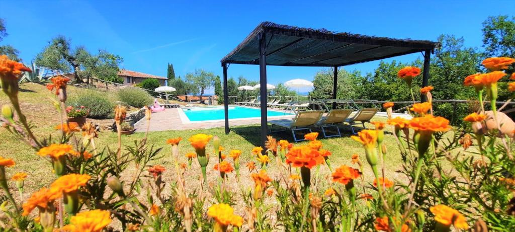 Agriturismo I Ceppi - Apartamento Con Vistas A La Piscina