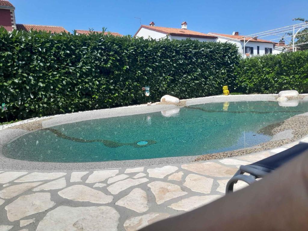Πισίνα στο ή κοντά στο Apartments in Valbandon - Istrien 8381