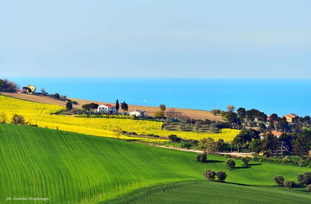 une vue aérienne sur un champ verdoyant avec des maisons sur une colline dans l'établissement La Casa di Vandina, à Senigallia