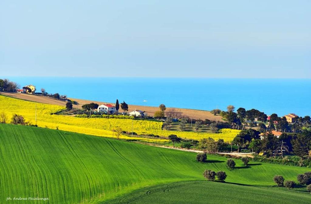 an aerial view of a green field with houses on a hill at La Casa di Vandina in Senigallia